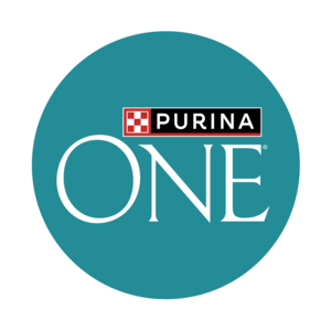 Purina one cat food best sale